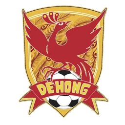 德宏队