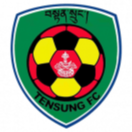 坦桑FC